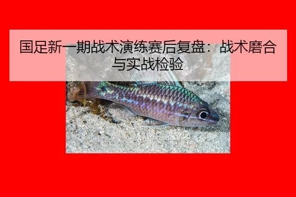 guo-zu-xin-yi-qi-zhan-shu-yan-lian-sai-hou-fu-pan-zhan-shu-mo-he-yu-shi-zhan-jian-yan-1-915.jpg